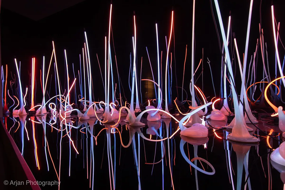Chihuly, Seattle